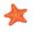 Starfish Icon