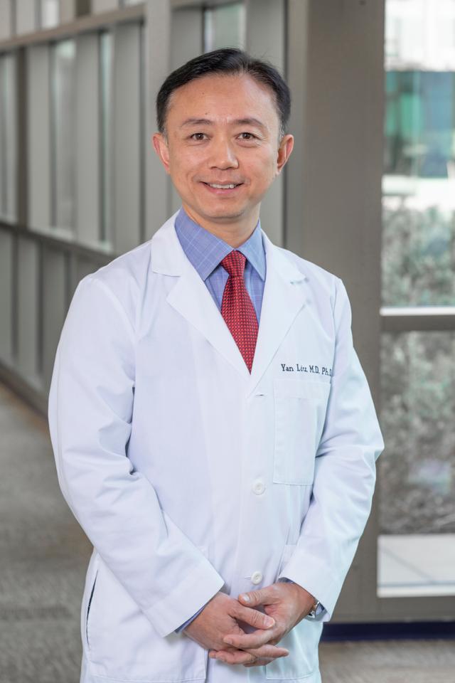 Yan Liu, MD, Cardiology